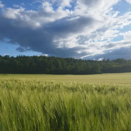Hébergement de vacances Avec Jardin Viterne